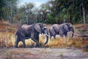 dw009dD éléphant animal Peinture à l'huile